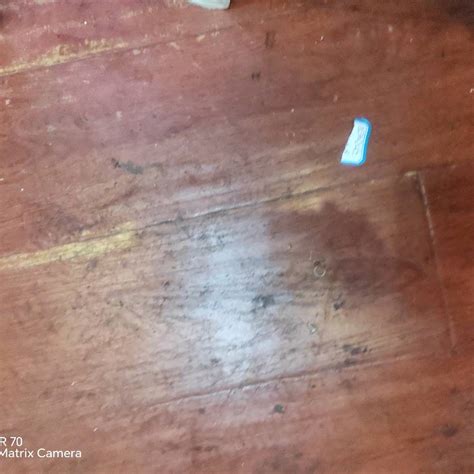 MK体育
